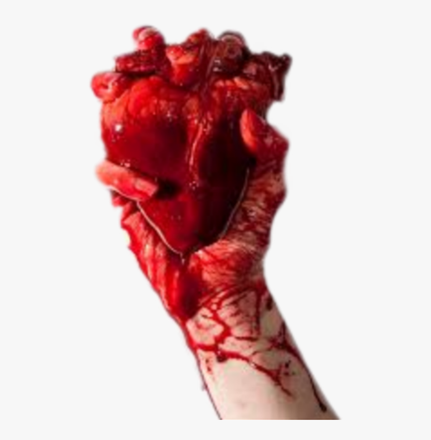 #humanheart #hand #handholding #blood #heart - Hand Holding Real Heart, HD Png Download
