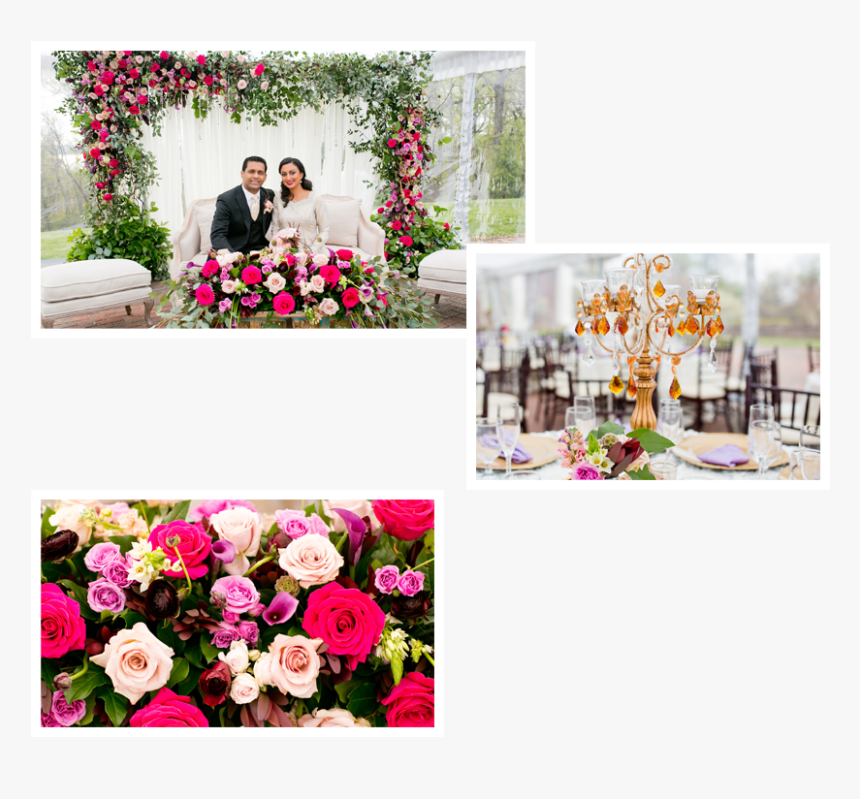 Garden Roses, HD Png Download