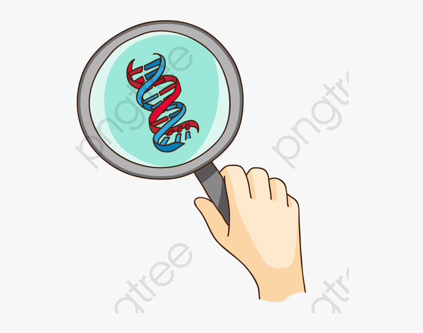 Transparent Dna Clipart Png, Png Download