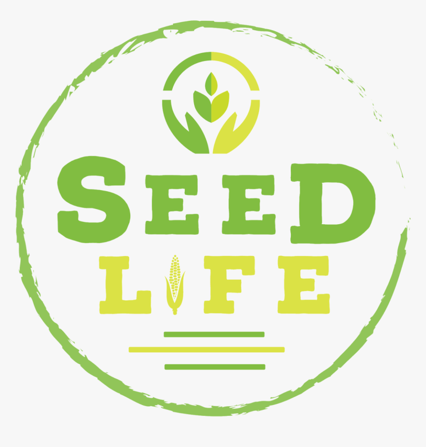 Seed Life - Circle, HD Png Download