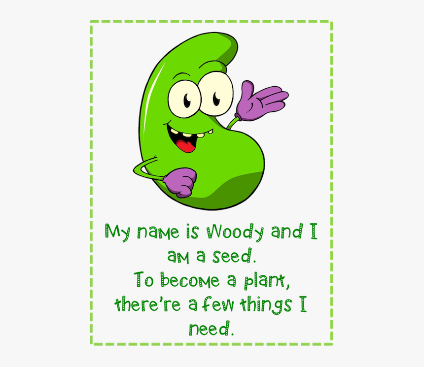 Seed Of Life Png, Transparent Png