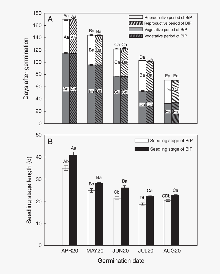 Angiogenesis In Vitro Huvec Protein T Test, HD Png Download