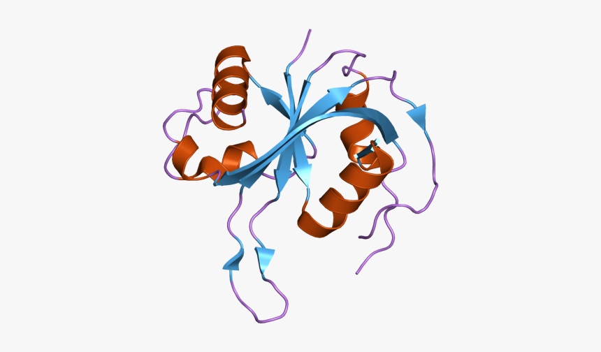 Pdb 2zbn Ebi, HD Png Download