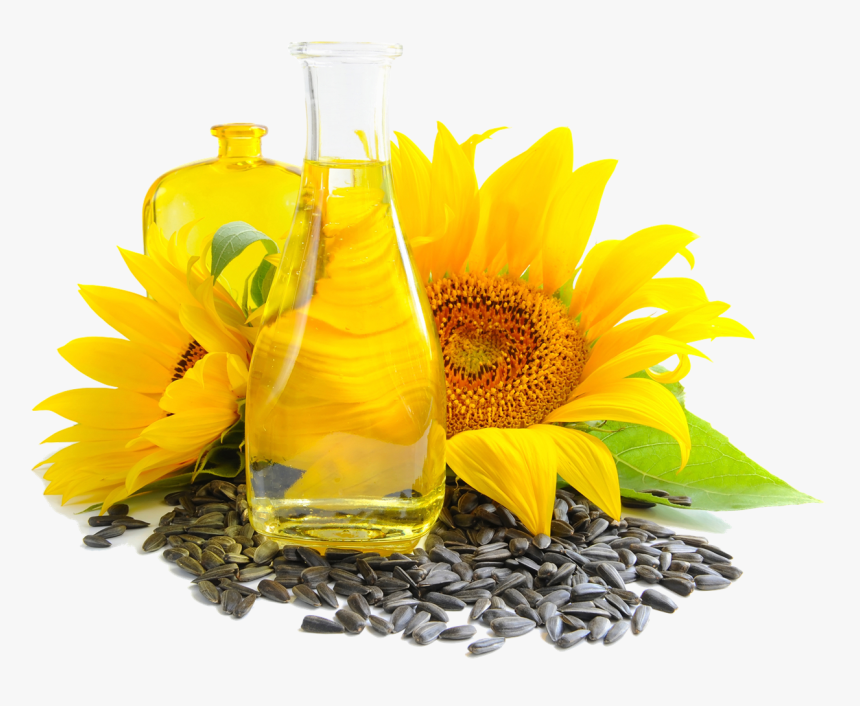 Sunflower Seed Png - Buy Sunflower Seed Products, Transparent Png