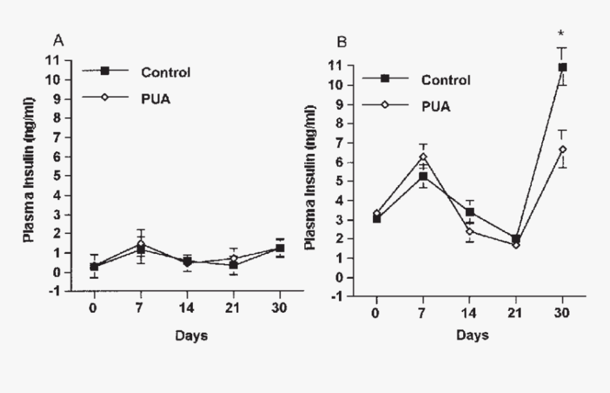 Etoposide Nsclc, HD Png Download