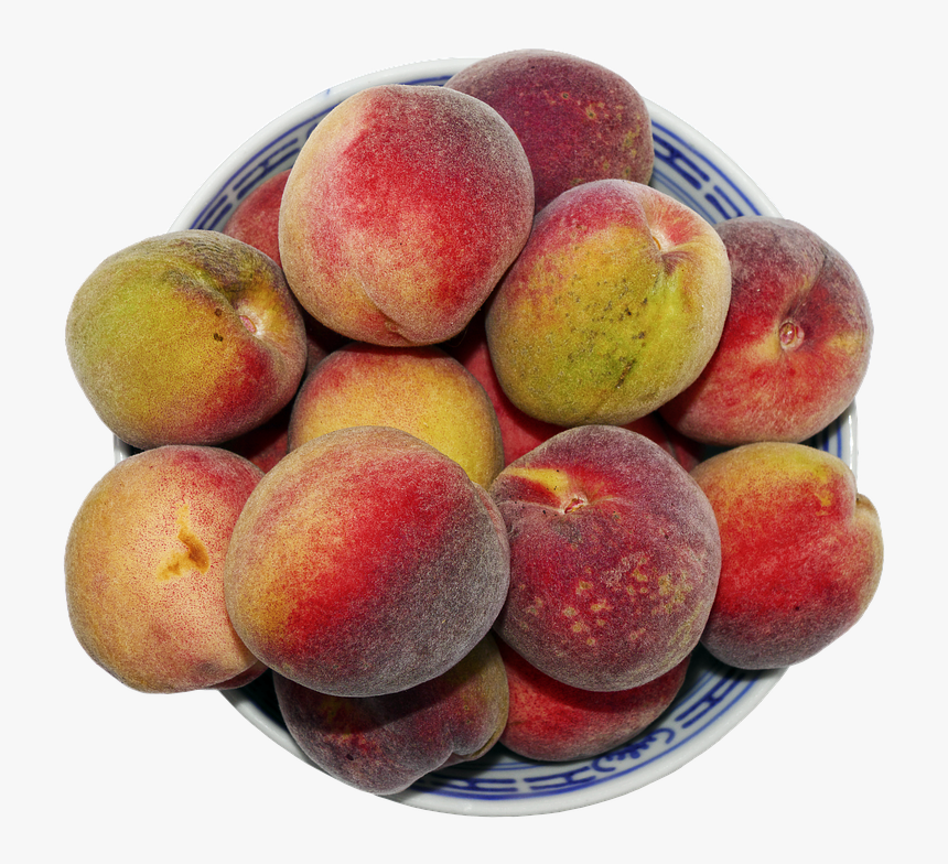 Peach, Stone Fruit, Fruit Bowl, Round Peach - Nectarines, HD Png Download