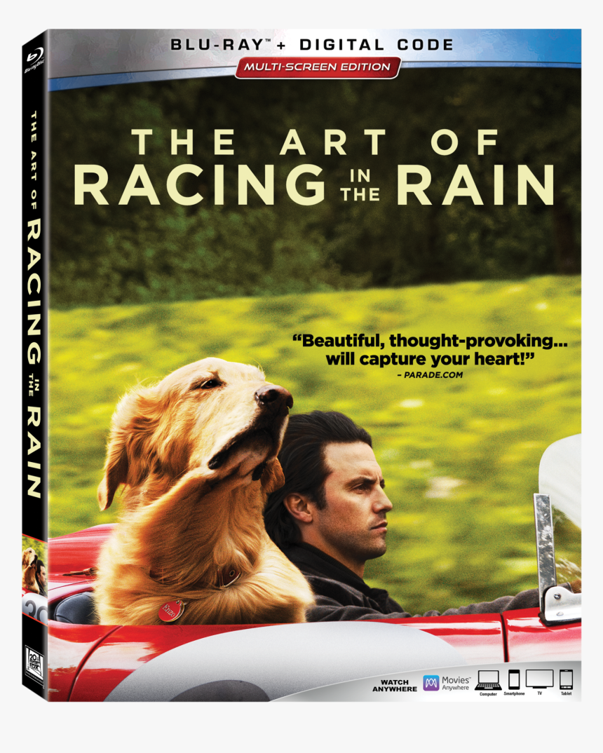 Art Of Racing In The Rain Bluray, HD Png Download