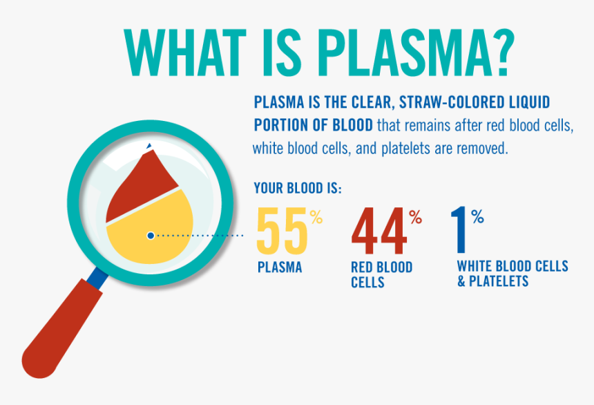 Click The Thumbnails Below For More Information On - Circle, HD Png Download