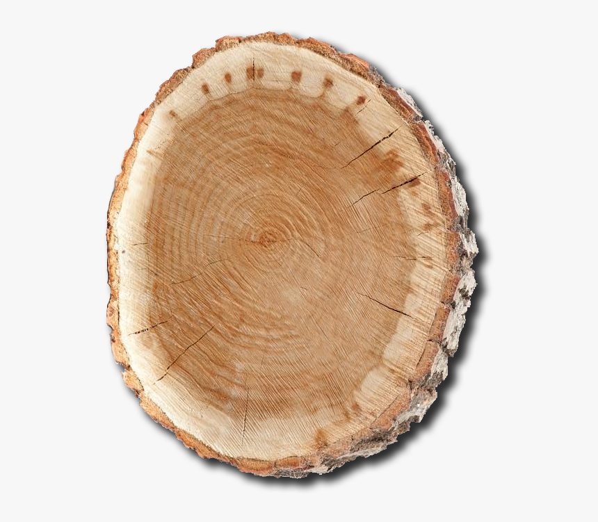 Log Front, HD Png Download
