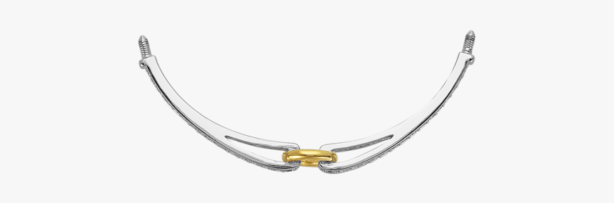 Two-tone Open Circle Fashion Bracelet Bar, Small - Necklace, HD Png Download