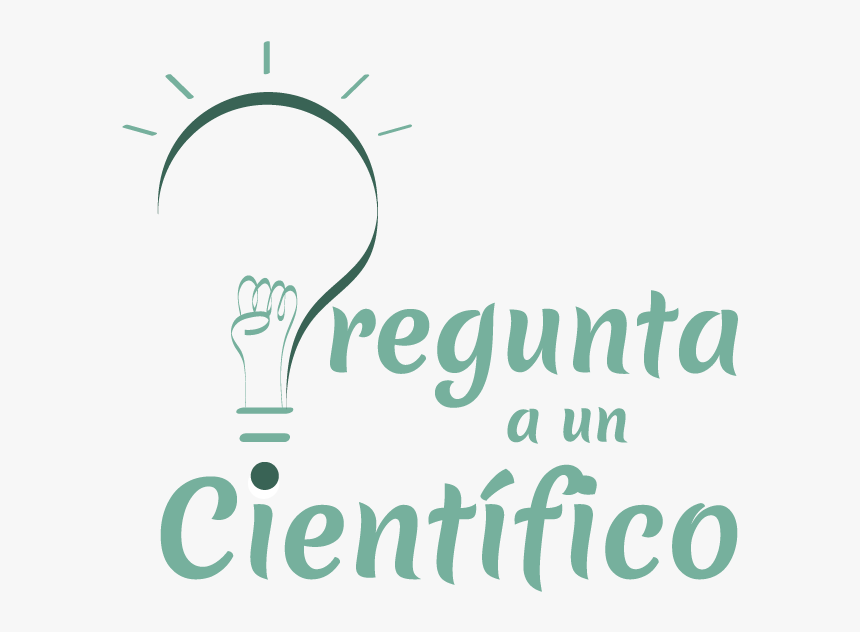 Calligraphy, HD Png Download