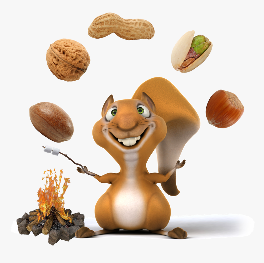 Mixed Nuts - Cookout, HD Png Download