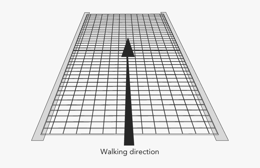 Basilica Of Santa Maria Novella, HD Png Download