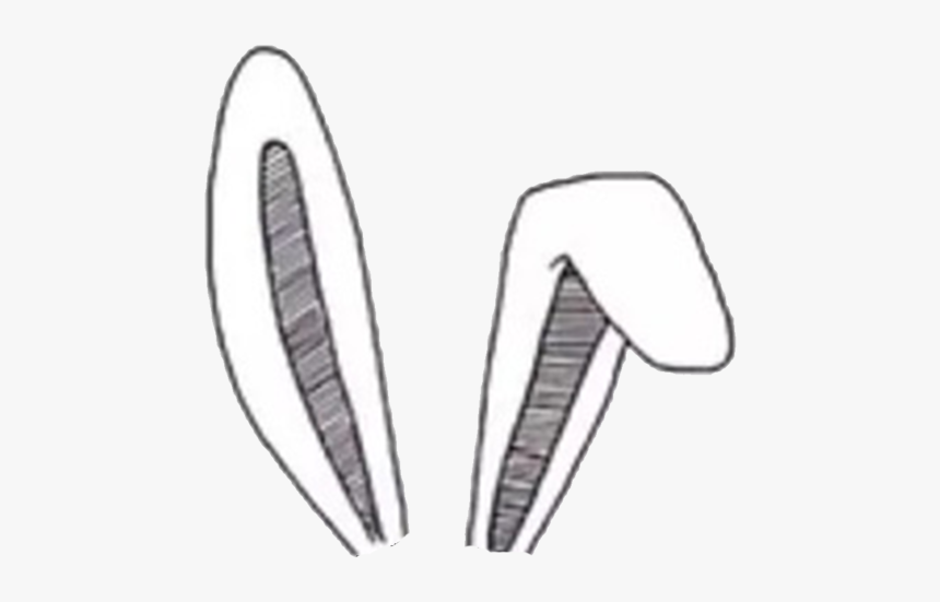 Overlay, Bunny, And Rabbit Image - Aesthetic Transparent Ears, HD Png Download