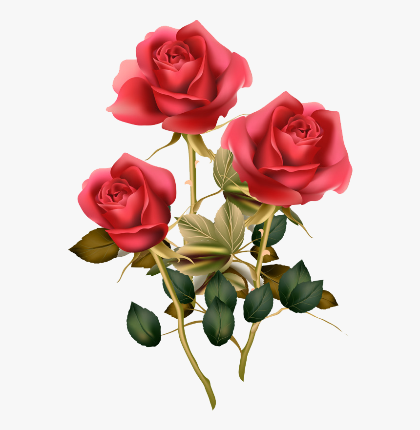 Floral Design Png Transparent Image - Red Rose Good Morning Rose Flower, Png Download