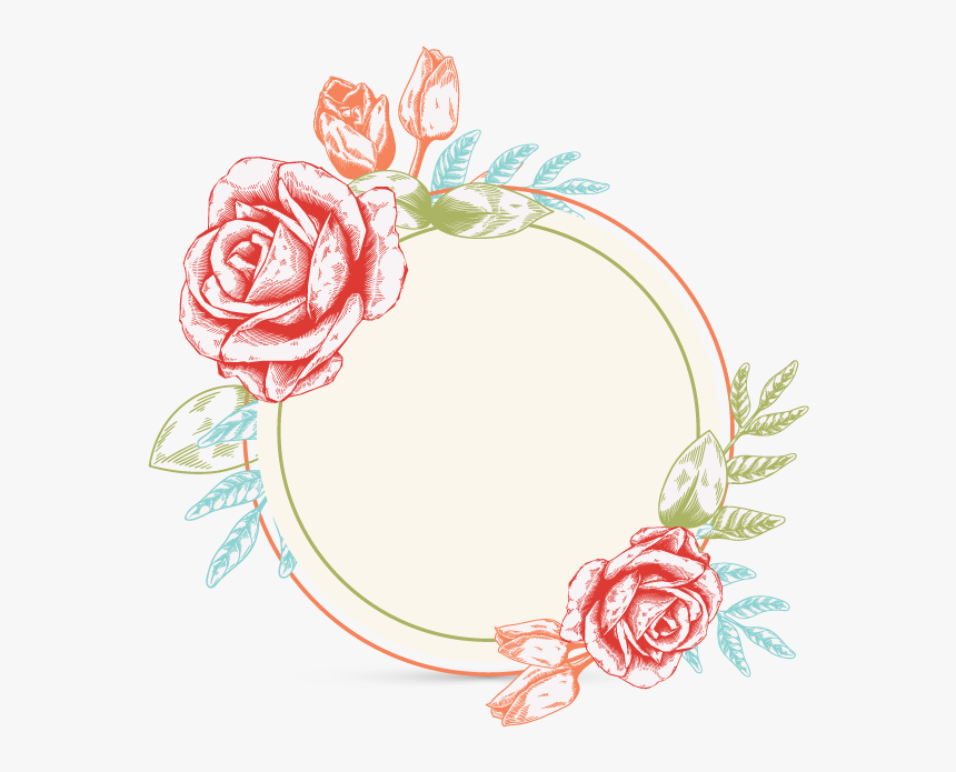 Hybrid Tea Rose, HD Png Download