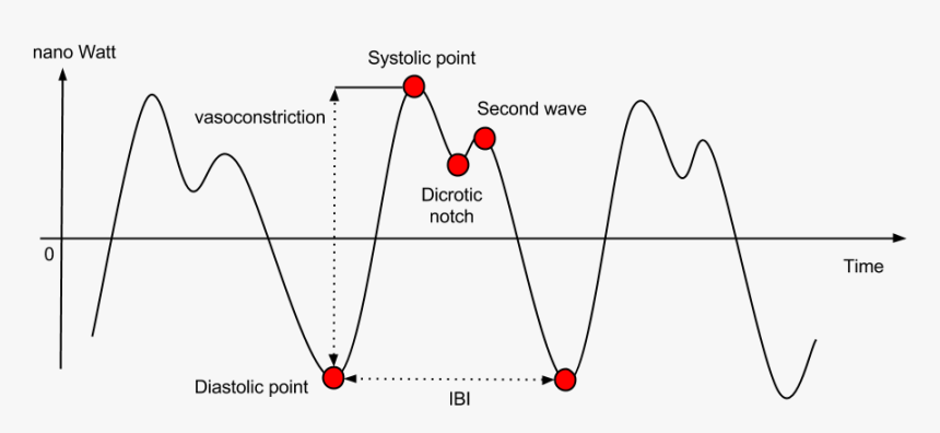 Diastolic And Systolic On Ppg, HD Png Download