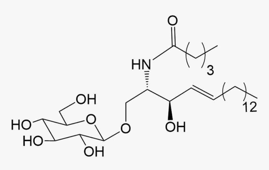 Diagram, HD Png Download