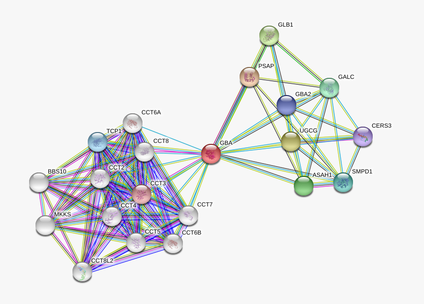 Circle, HD Png Download