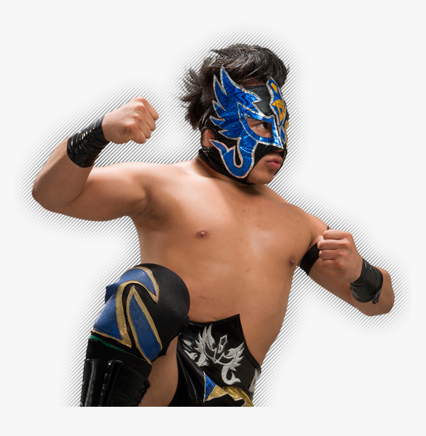 Luchador Aaa, HD Png Download