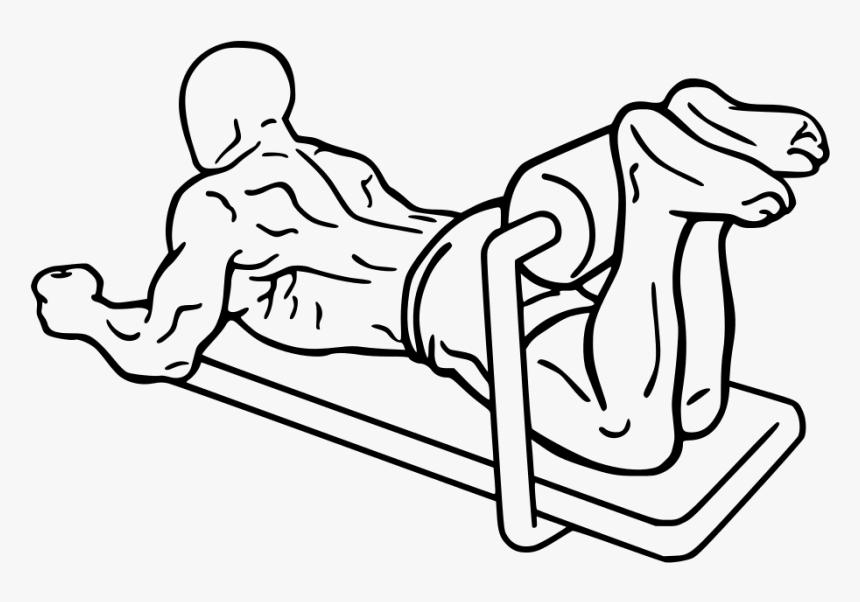 Lying Leg Curl Diagram, HD Png Download