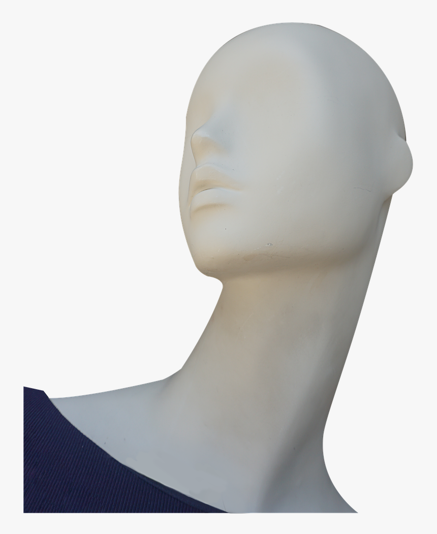Bust, HD Png Download