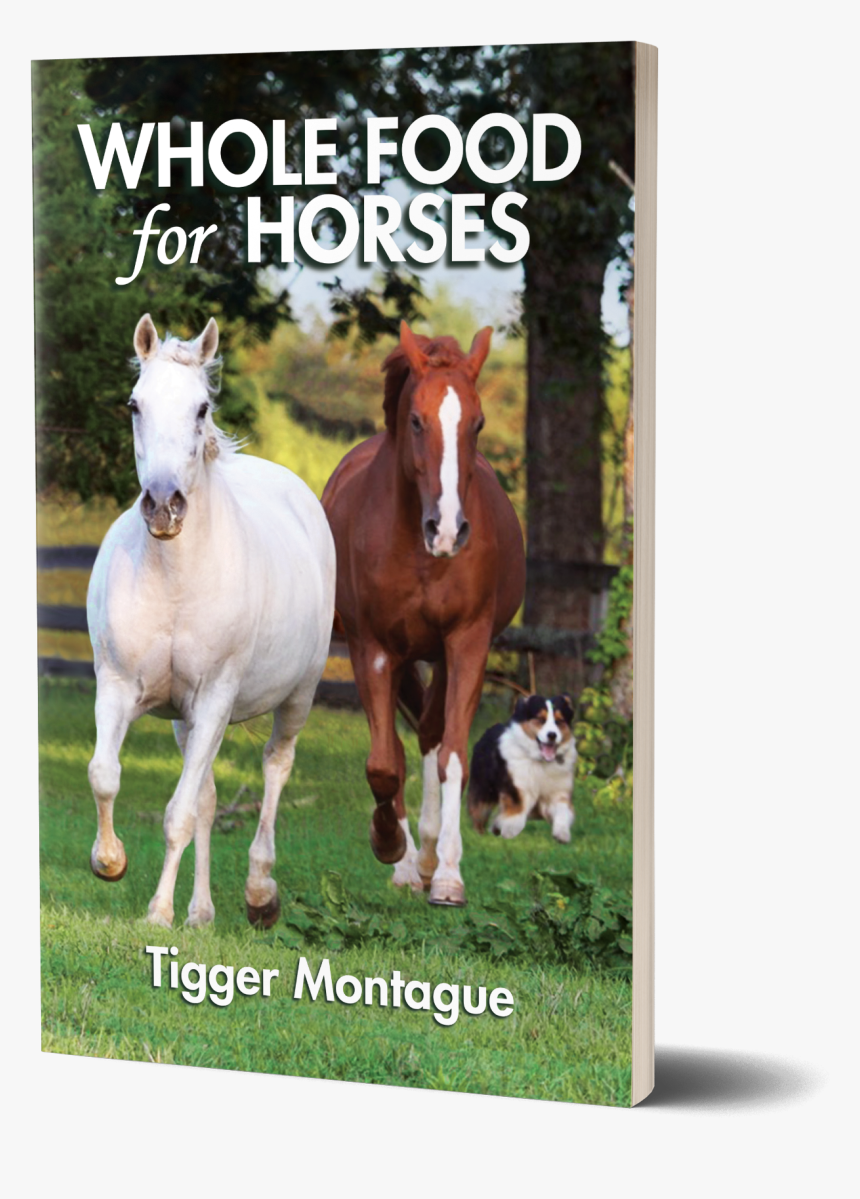 Stallion, HD Png Download