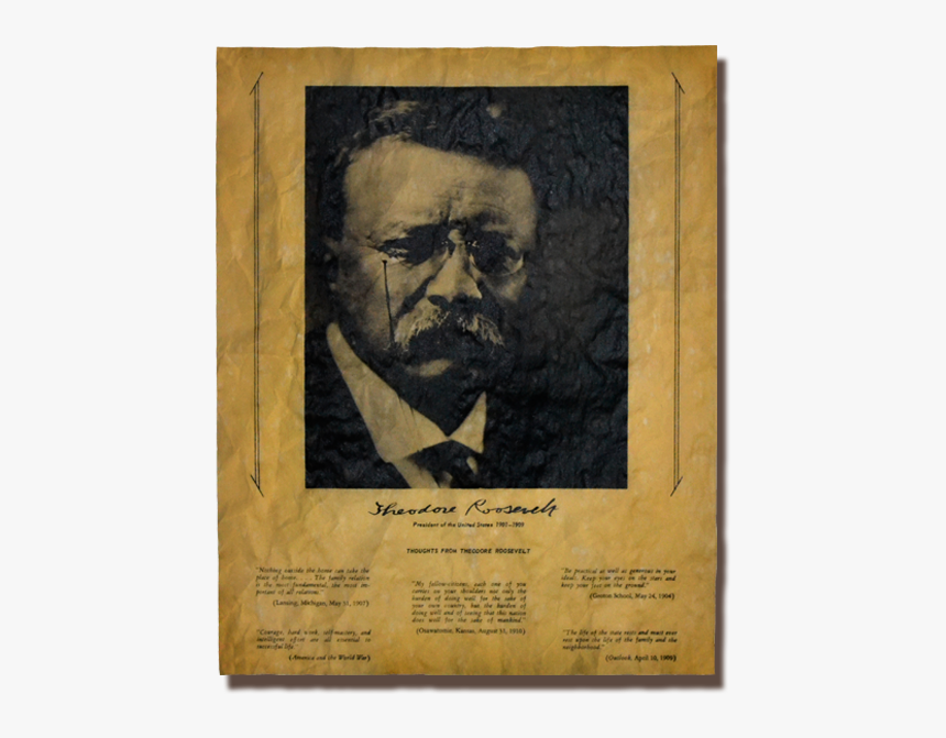 Thoughts From Theodore Roosevelt - Poster, HD Png Download