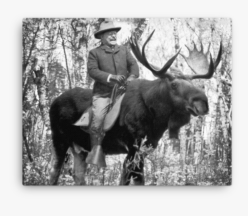 Teddy Roosevelt Riding A Bullmoose Canvas - Teddy Roosevelt Riding A Bull Moose, HD Png Download
