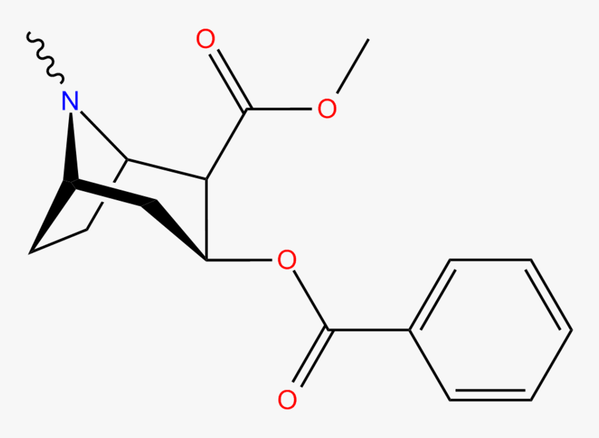 Cocaine Structure - Structure Of Coca Alkaloid, HD Png Download