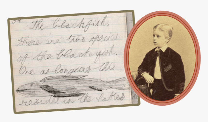 Portrait Of Young Tr, Alongside A Page From His Journal - Theodore Roosevelt Field Journal, HD Png Download