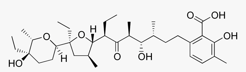 Lasalocid Structure - Malic Acid Optical Isomers, HD Png Download