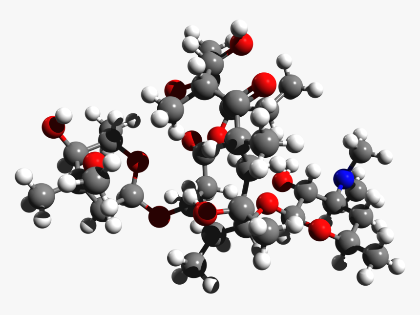 Erythromycin 3d Structure - Erythromycin Molecular Structure 3d, HD Png Download