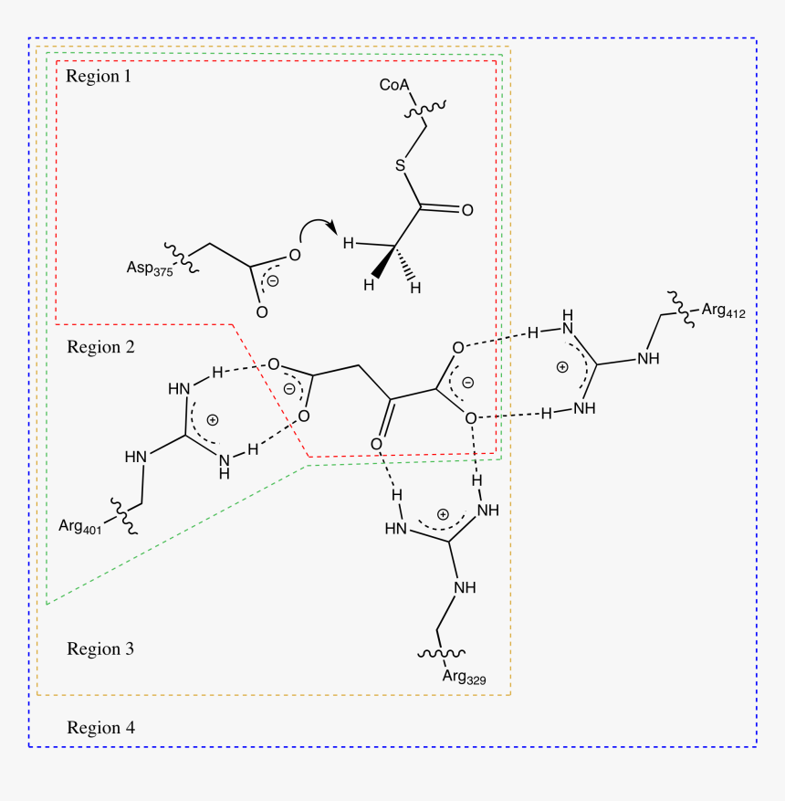 Diagram, HD Png Download