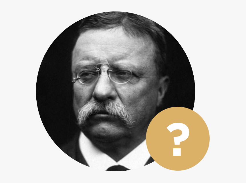 Theodore Roosevelt Quotes Keep Your Eyes, HD Png Download