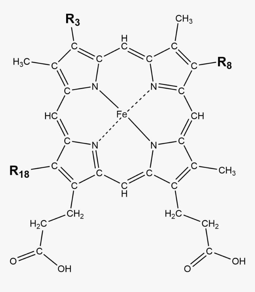 Transparent Blood Cells Png - Nickel Porphyrin, Png Download