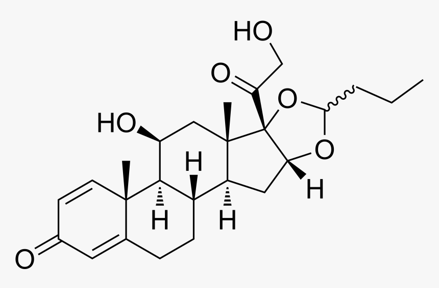 Enter Image Description Here - Métasulfobenzoate Sodique De Prednisolone, HD Png Download