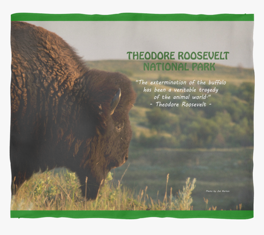 Bison Fleece Blanket - Grass, HD Png Download