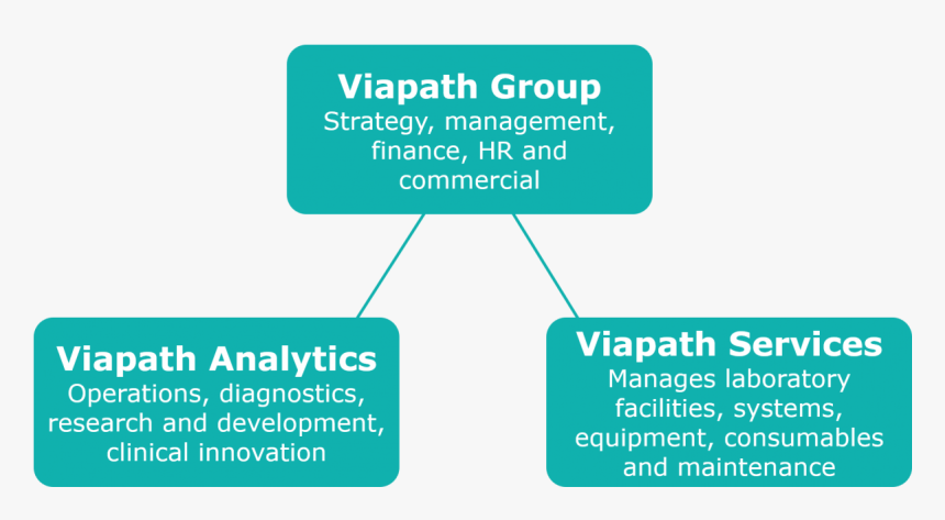 Our-structure - Hospital Rafael Uribe Uribe, HD Png Download