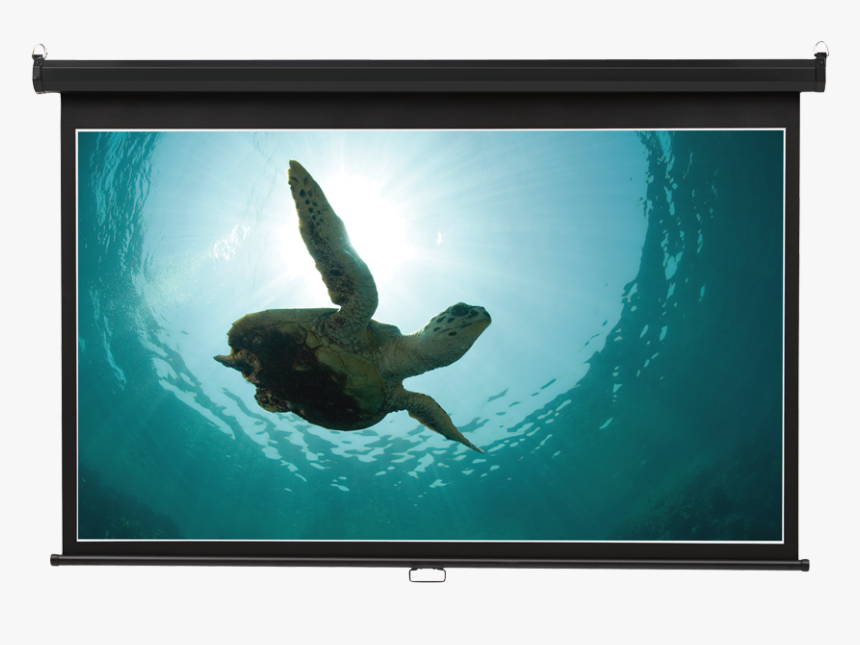 Product Image 05896 
							title Wide Projection - Tortuga Cabos San Lucas, HD Png Download