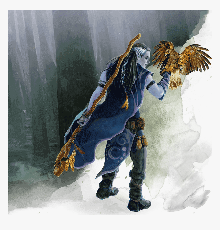 Druid 5e, HD Png Download