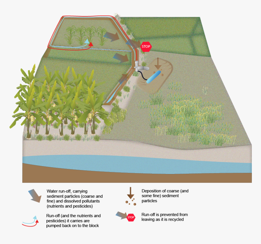 Artificial Turf, HD Png Download