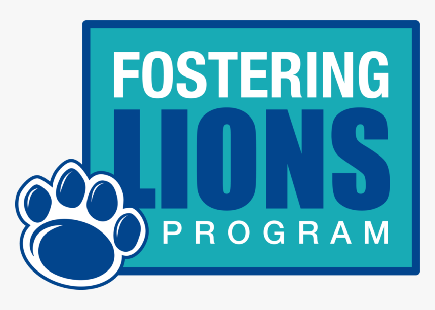 Fostering Lions Program - Evening With James Blunt, HD Png Download