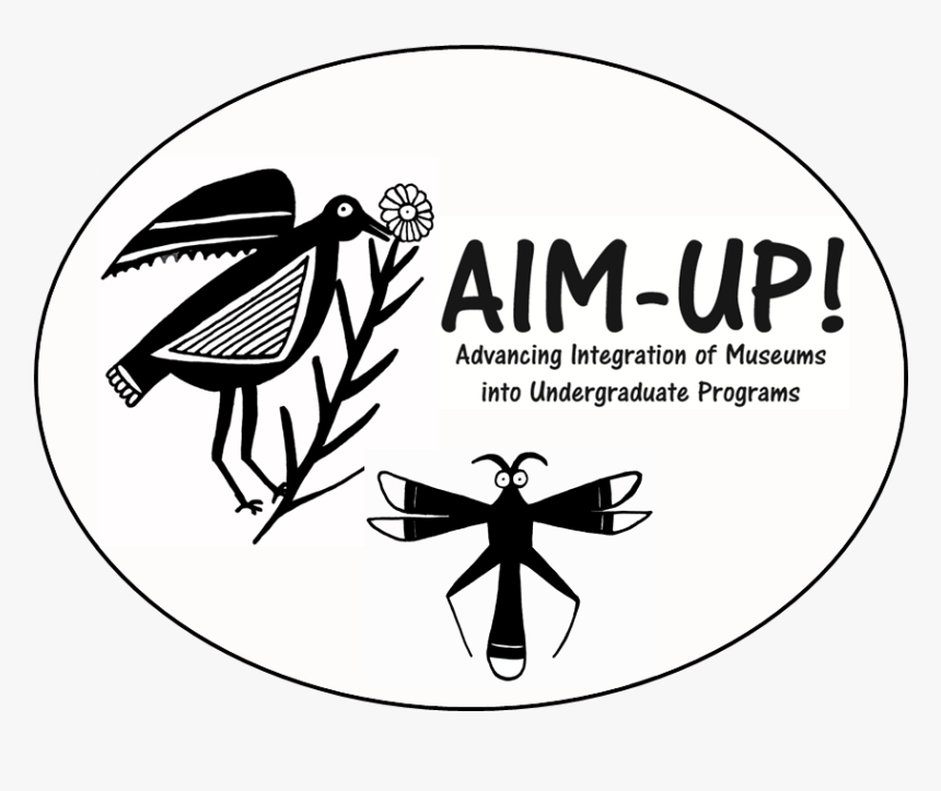 About Aim-up - Aim Up, HD Png Download