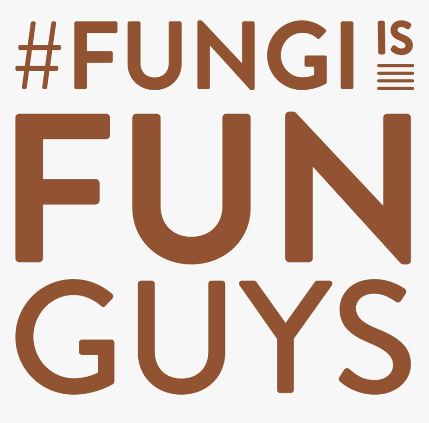 We Love To See How Folks Are Using Our Fungi - Fym, HD Png Download