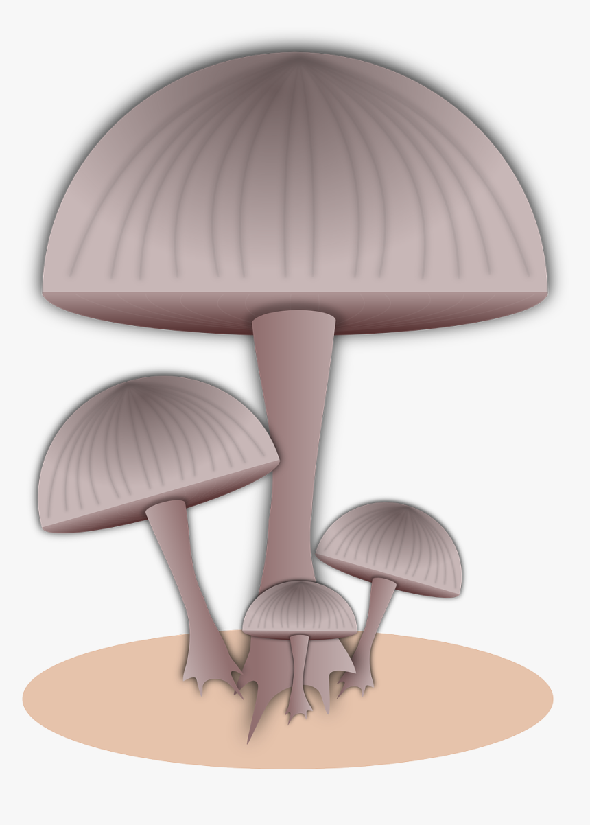Mushroom Food Fungi Free Photo - Mushroom, HD Png Download