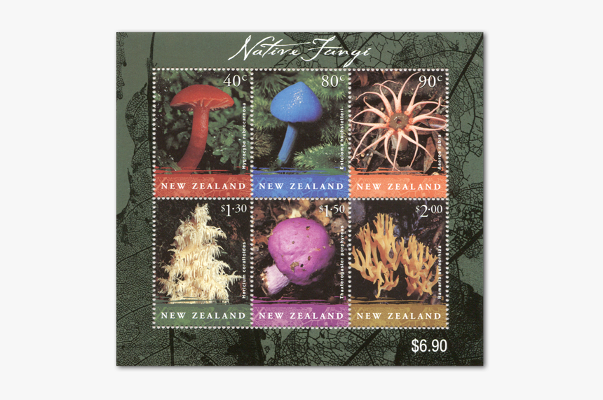 Nz Native Fungi, HD Png Download