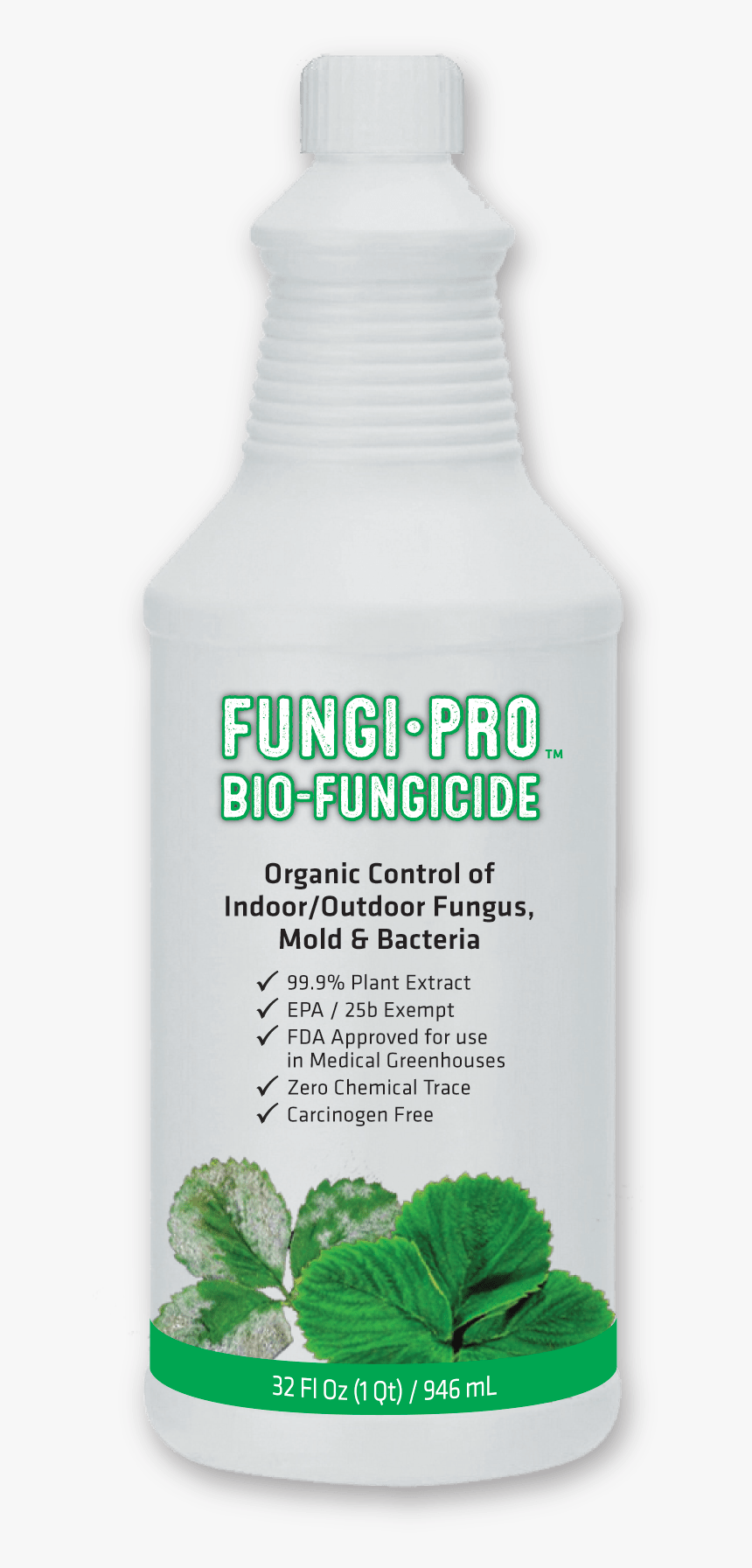 Hair Care, HD Png Download