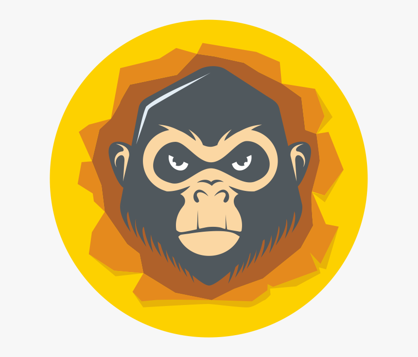 Monkey, HD Png Download