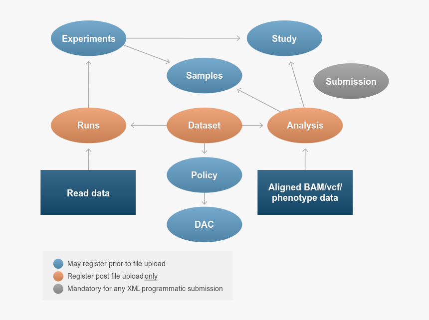 Diagram, HD Png Download